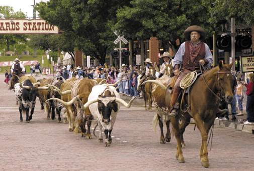 Touring The Fort Worth Stockyards In Fort Worth, Texas 